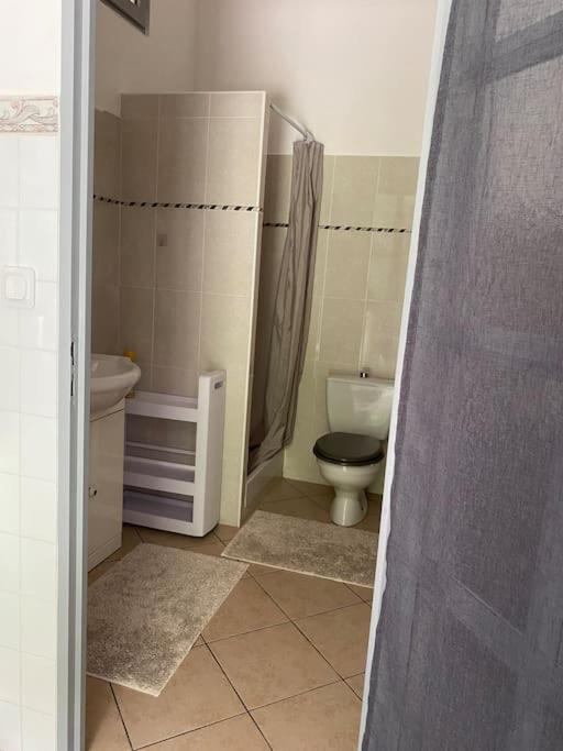 Villa Serenice - F2 Au Calme, Climatise, Wifi Et Parking Gratuit Exterior photo